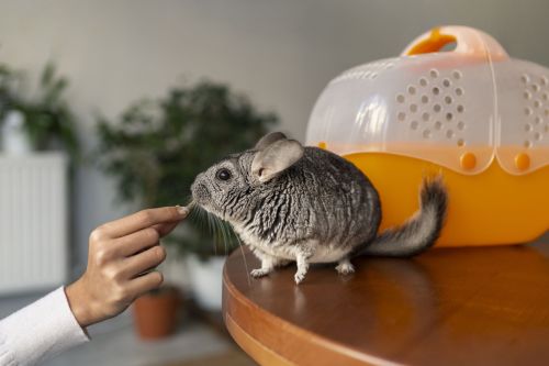 Бетләргә дә кыен