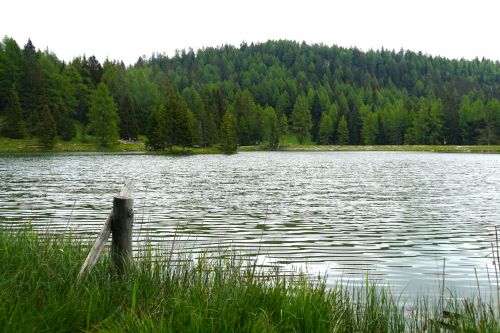 Шайтан сере