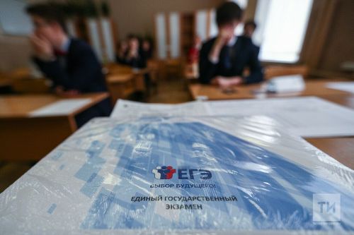 Әлмәт укучысы БДИны 300 баллга тапшырды
