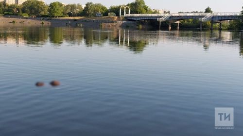 «Чаллы өстендә аккошлар» халыкара әдәби бәйгесе унынчы тапкыр уздырыла