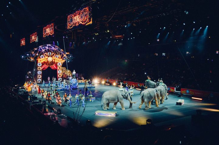 Халыкара цирк көне