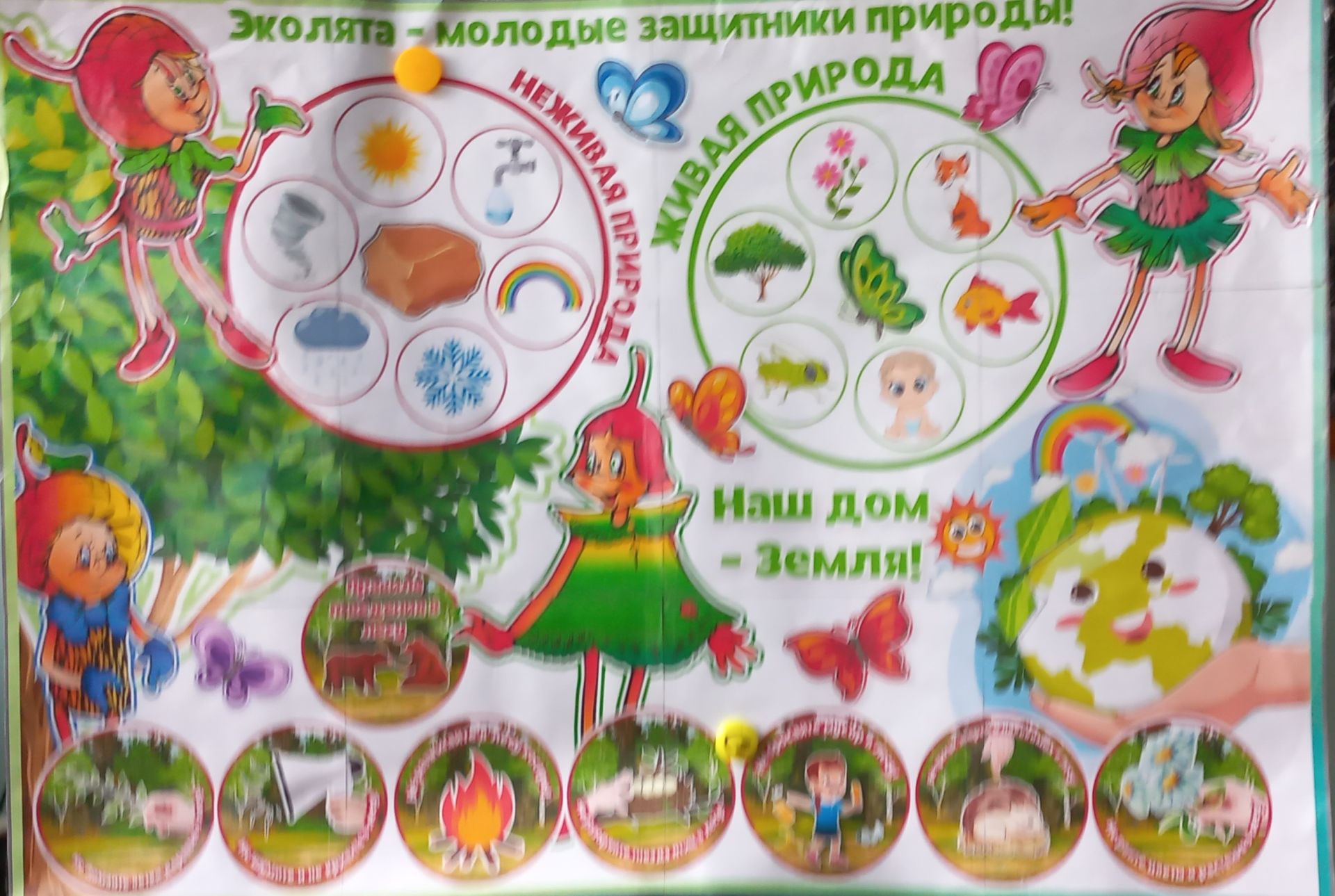 Эколята – табигатьне саклаучылар