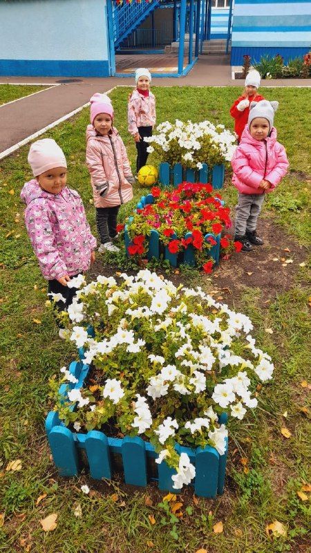 Күзәтүчәнлекне үстерәбез