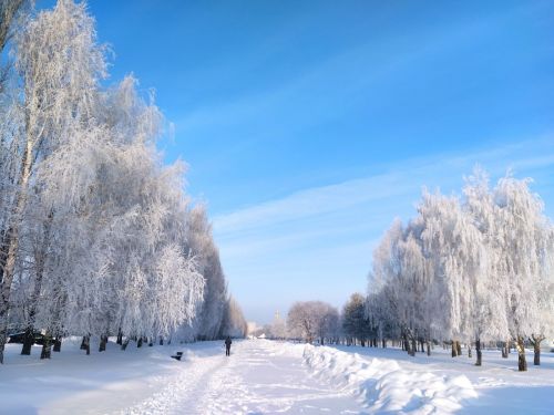 Кышкы сихри табигать