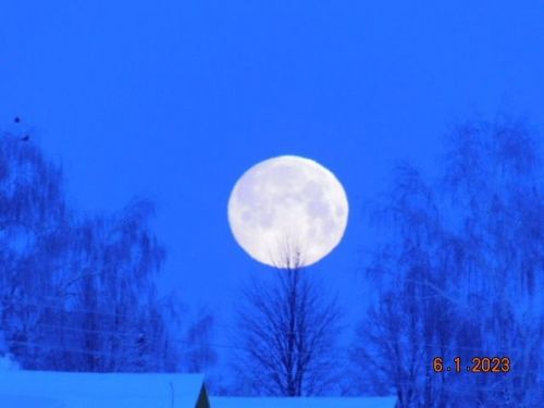 Кышкы фотолар.