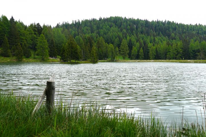 Шайтан сере