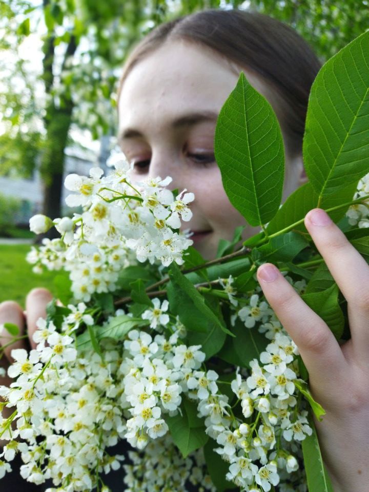 Шомырт исе айкый җаннарны